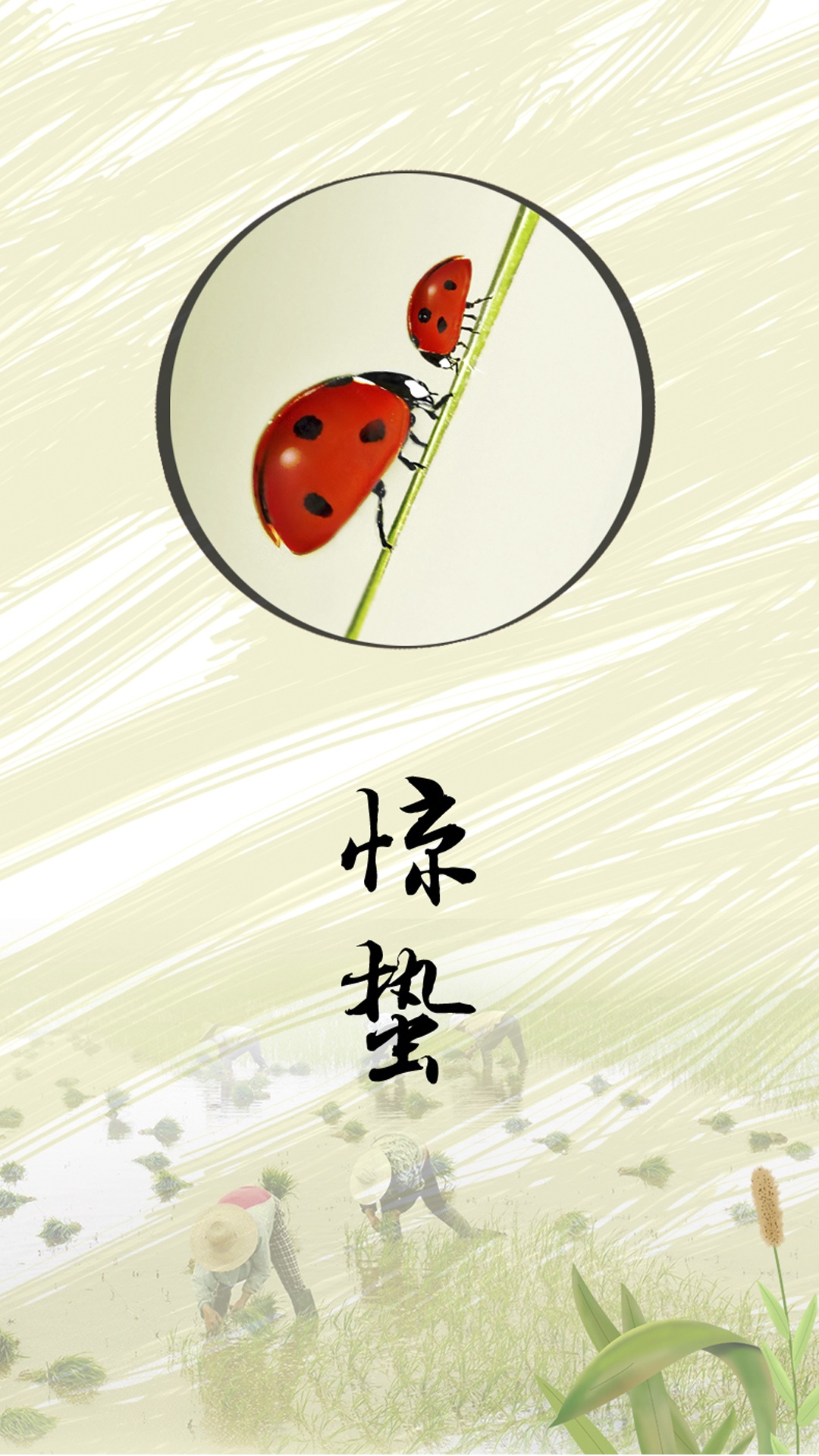 绿色小清新惊蛰节气