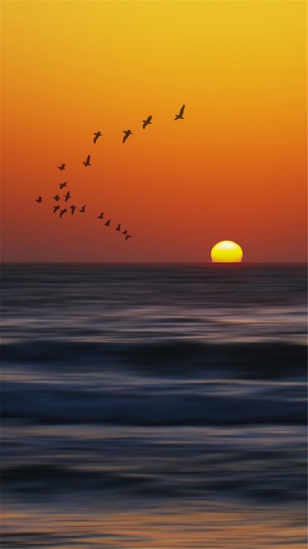 海滩日出