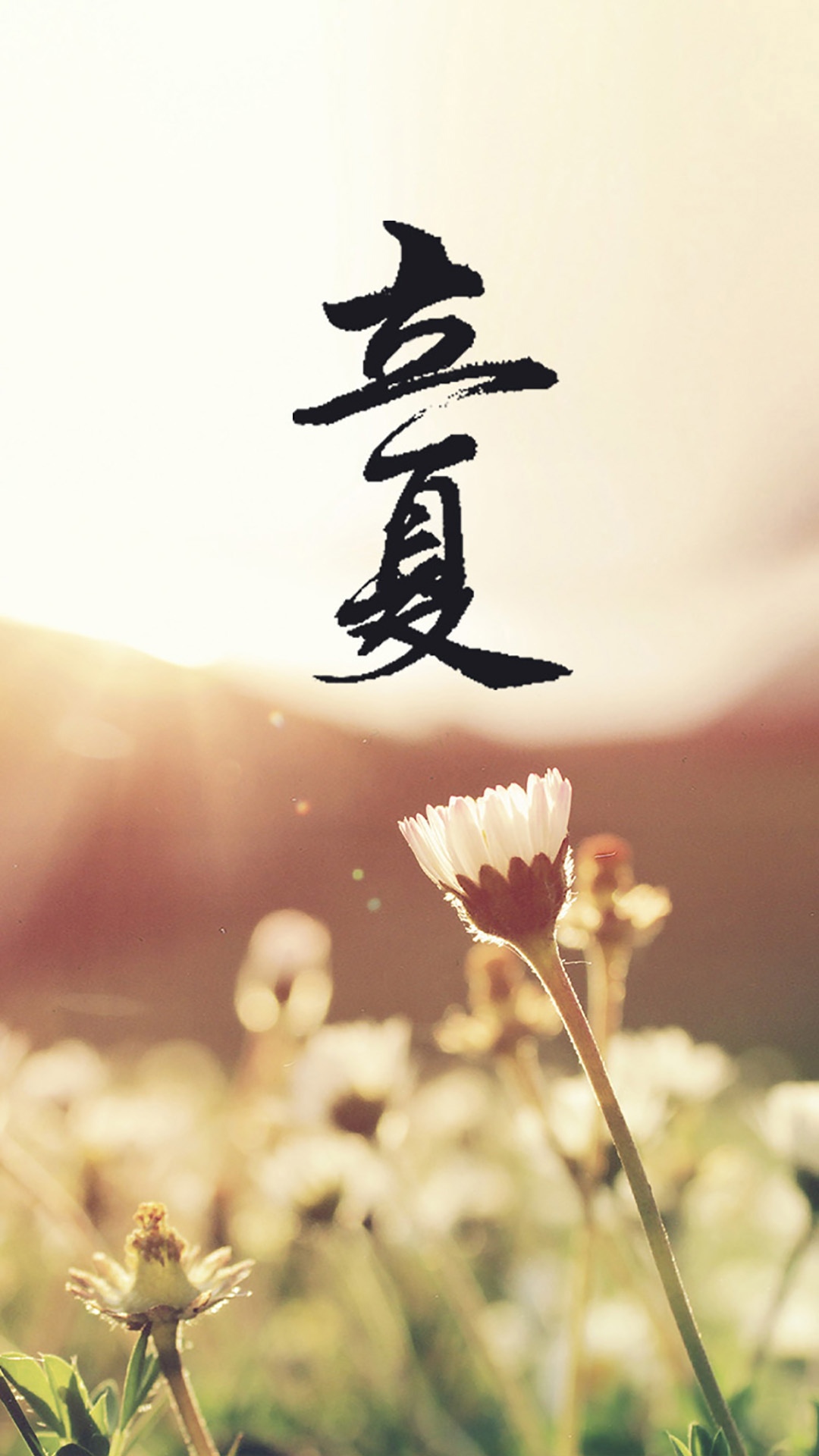 立夏的炎热送走了春的寂寞