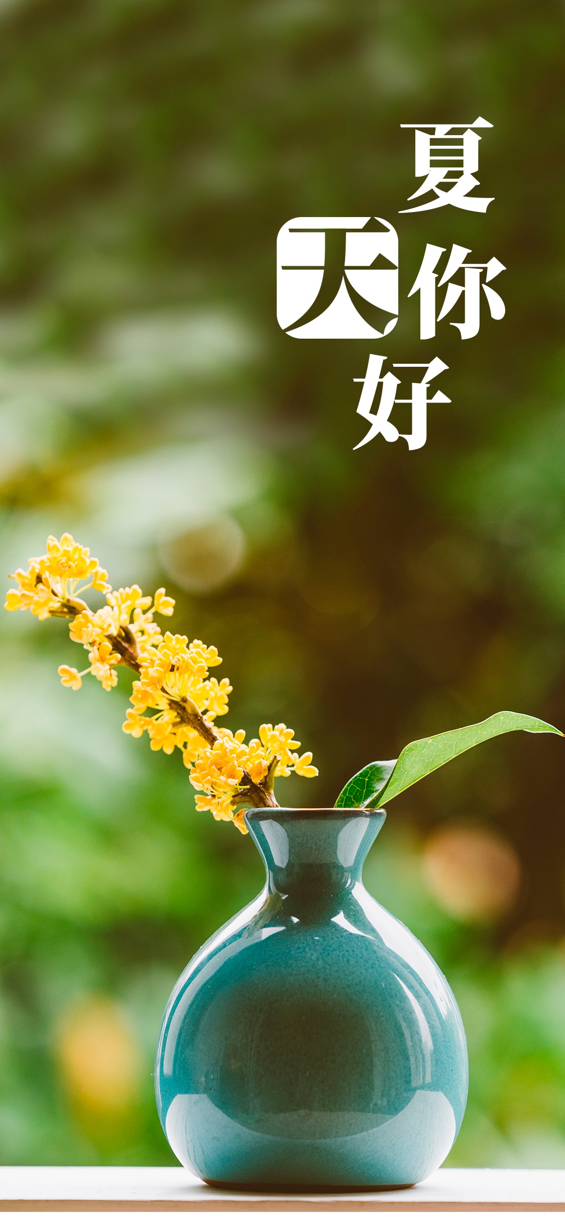 首夏犹清和 芳草亦未歇