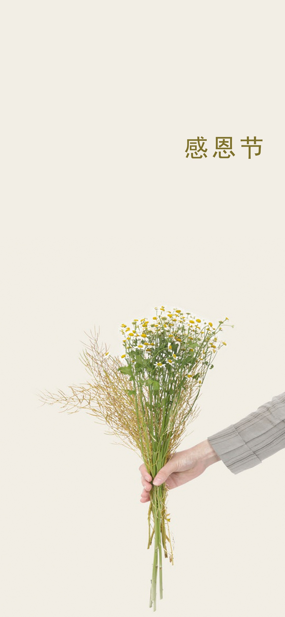简约清新的花朵