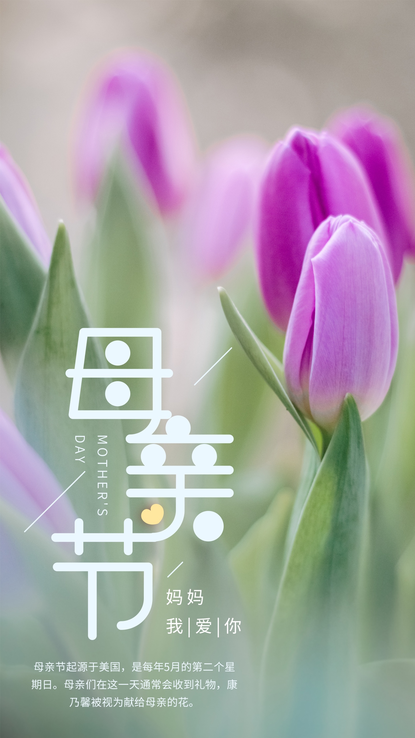 5.12母亲节