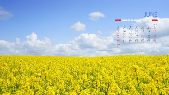 2019年6月秀美景色日历