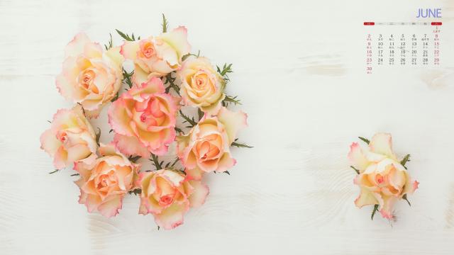 2019年6月小清新鲜花写真月历