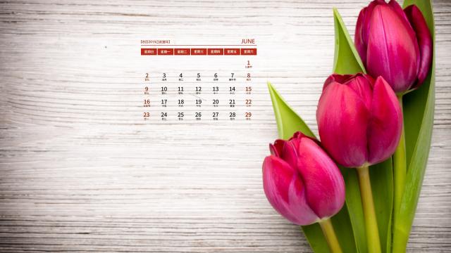 2019年6月小清新鲜花写真月历