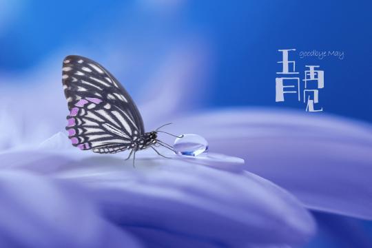 时光荏苒,5月再见