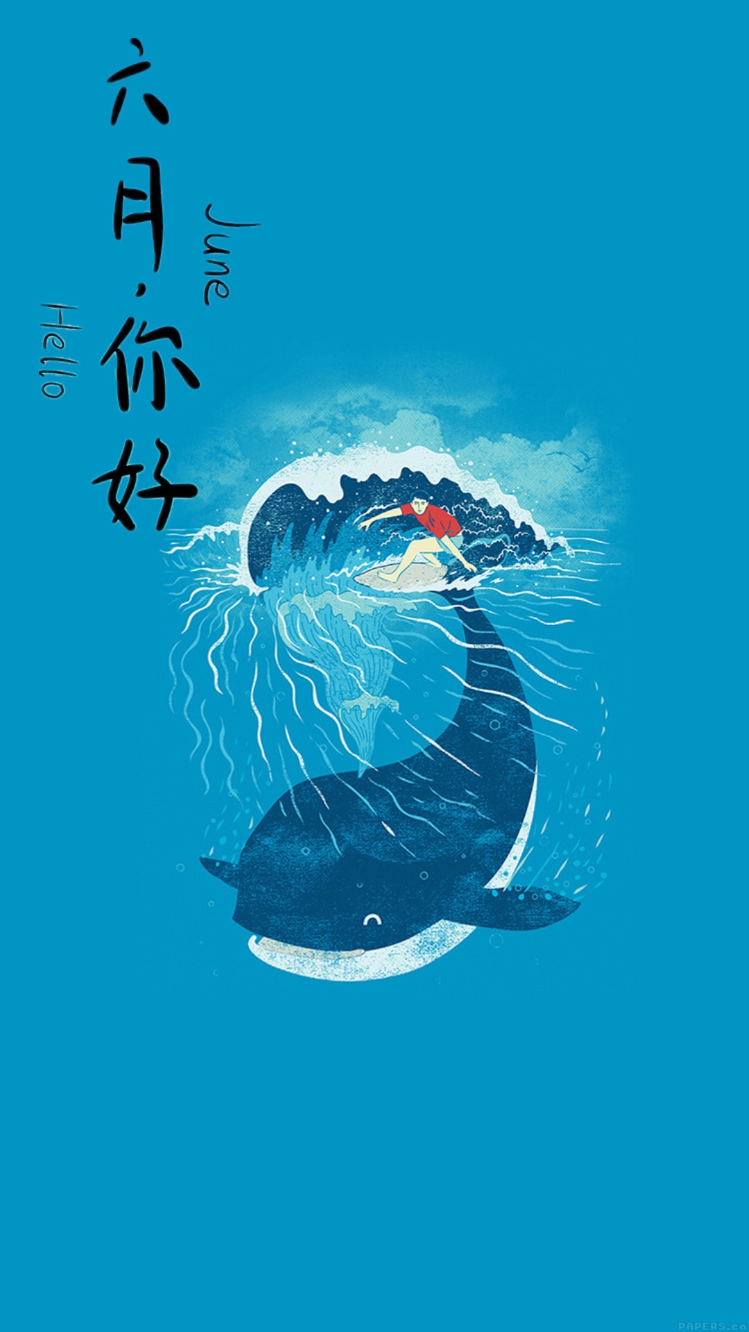 六月你好/可爱海豚插画