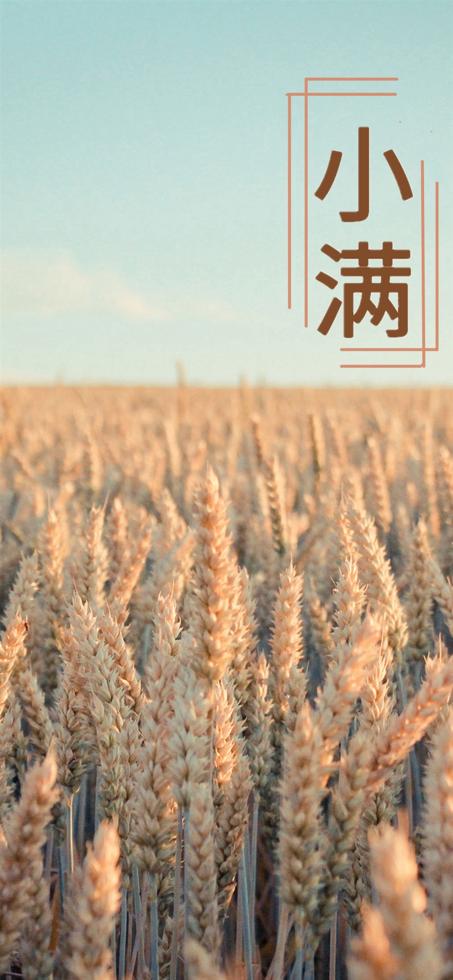 节气之小满