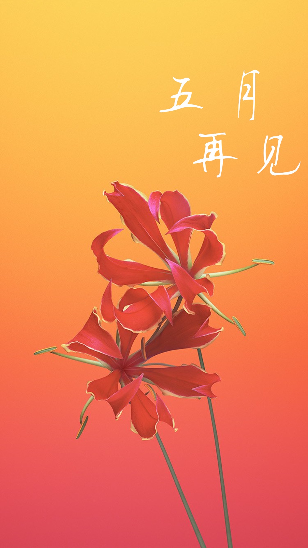 五月再见红花背景