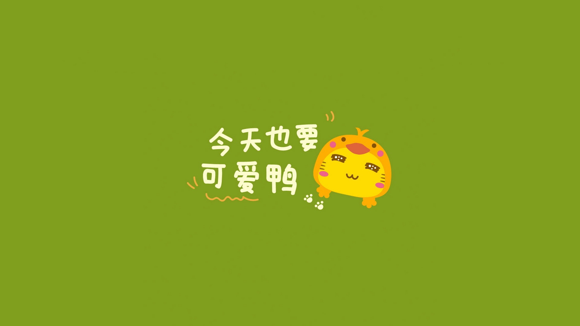 可爱的哈咪猫