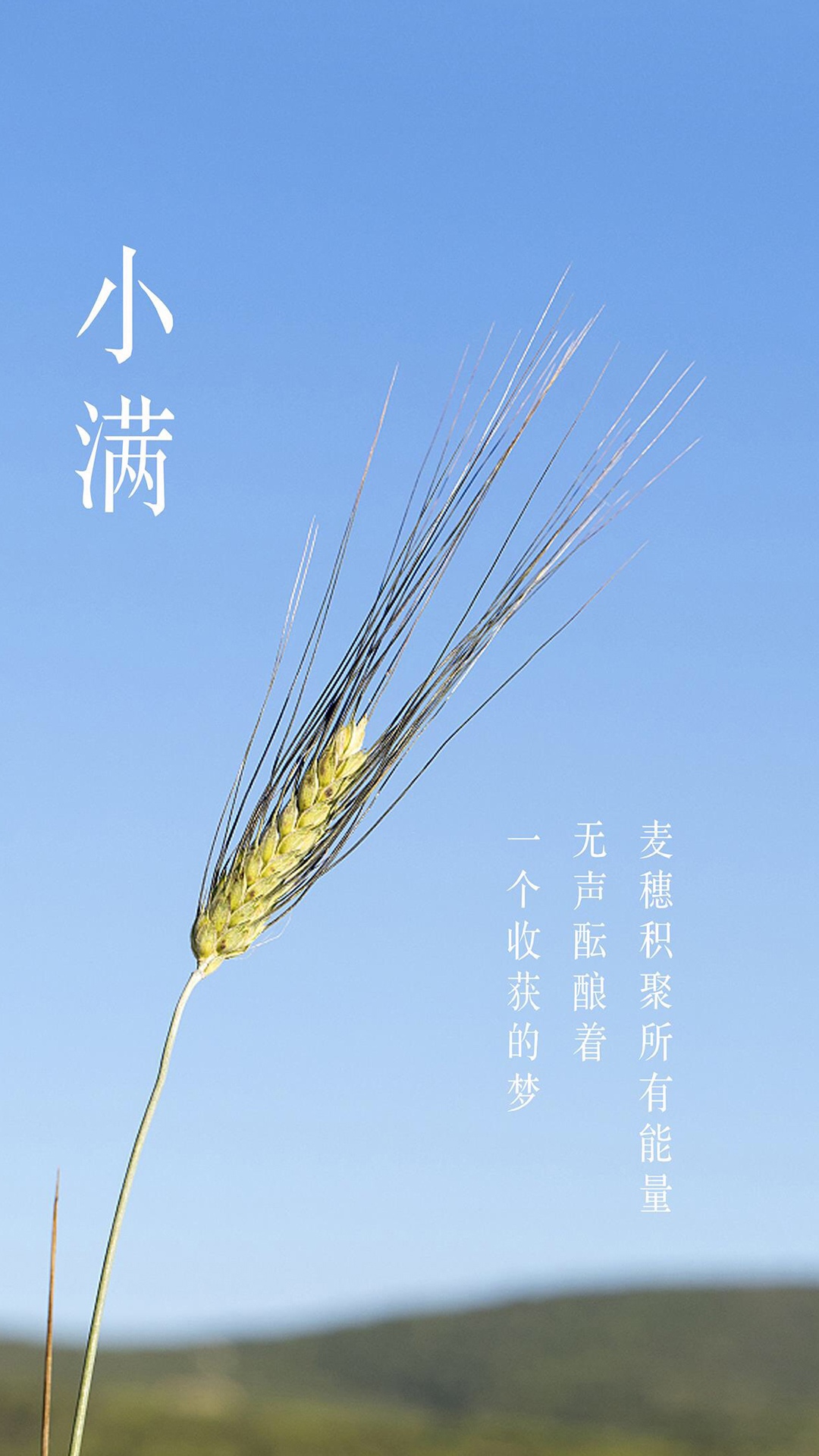 24节气小满