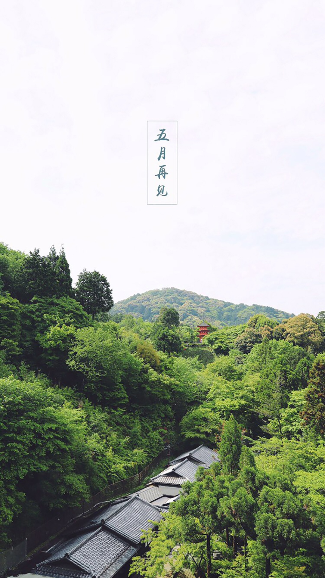 六月的清晨