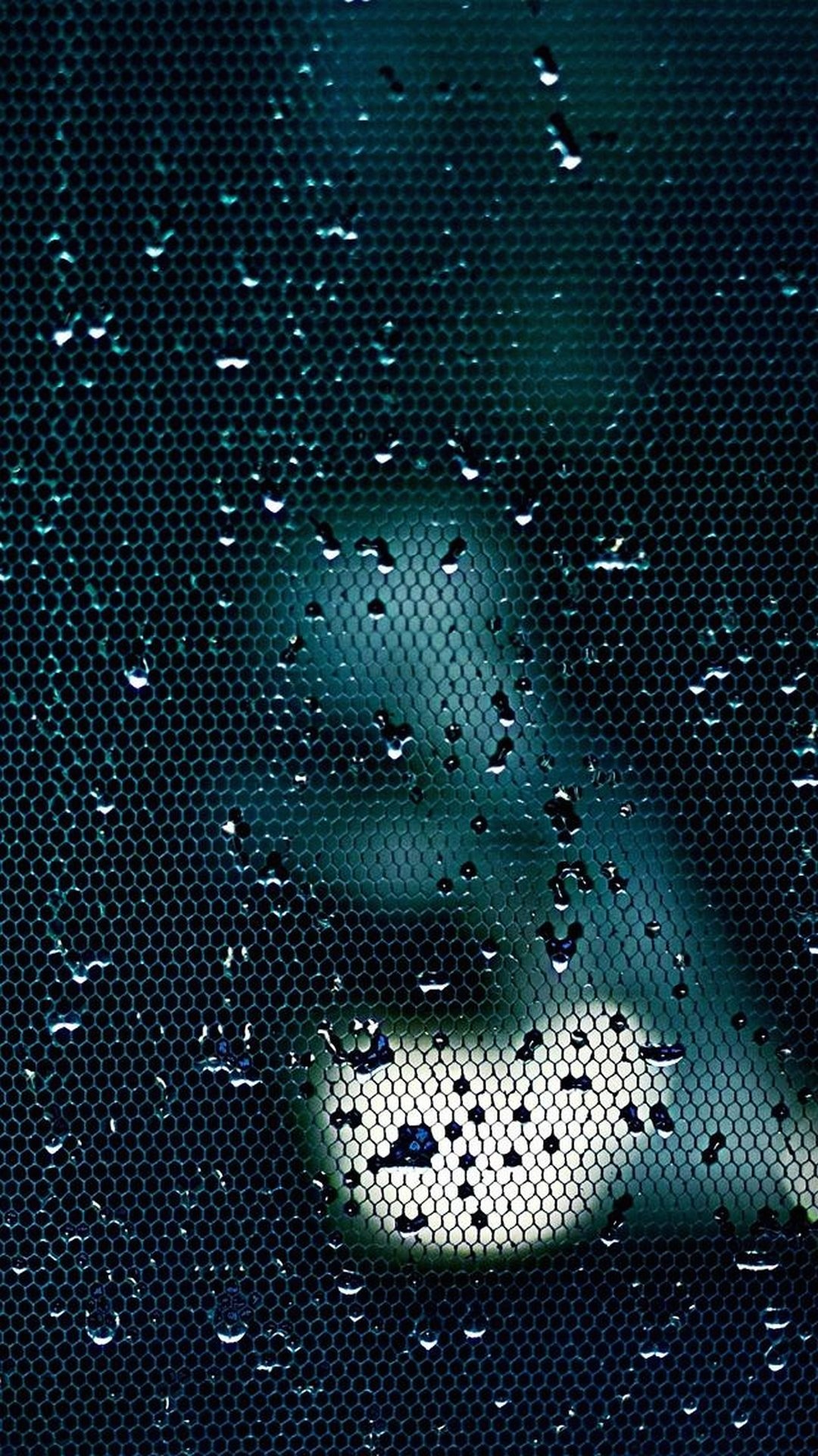 布克雨网