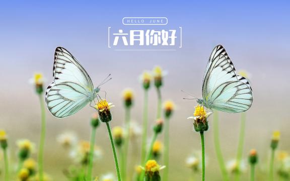 六月的小美好