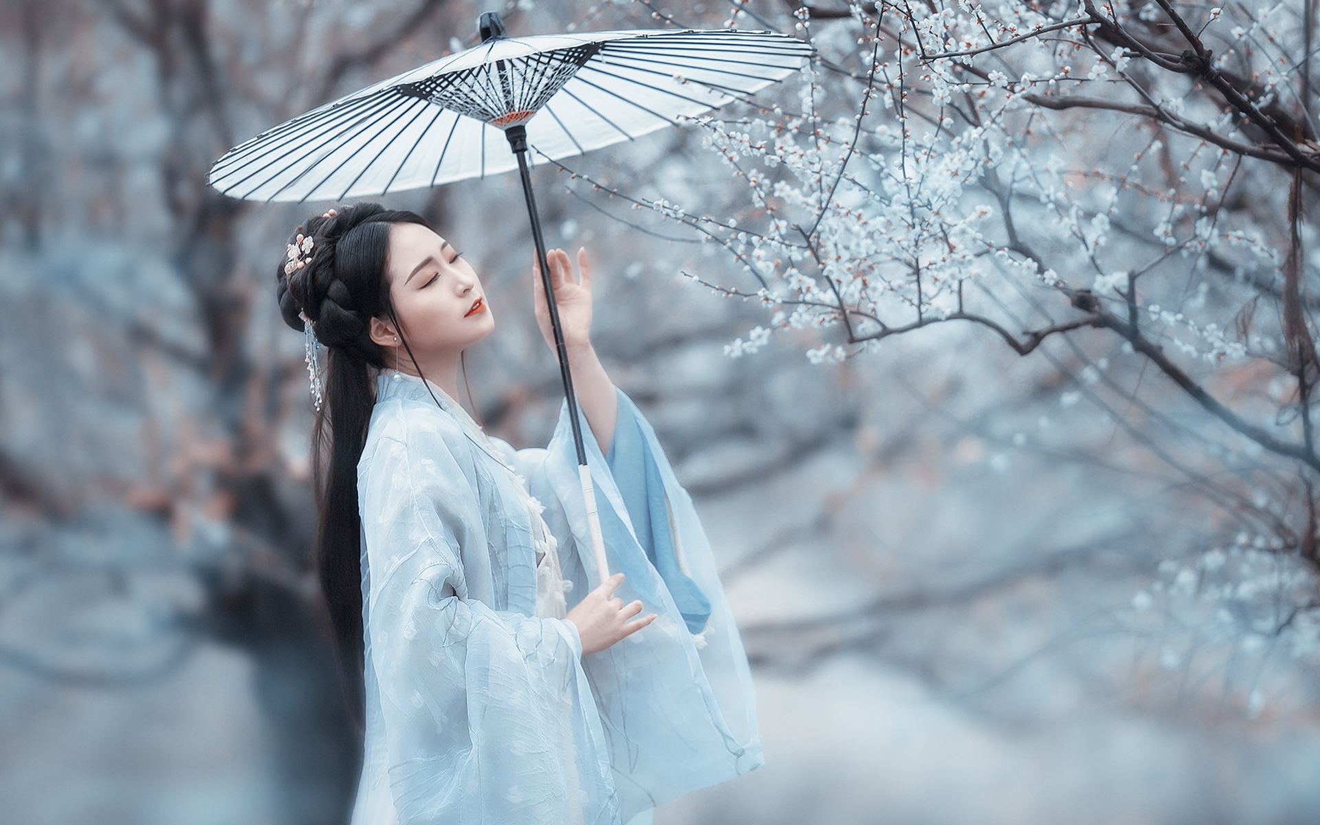 古典美女杏树下的柔情写真