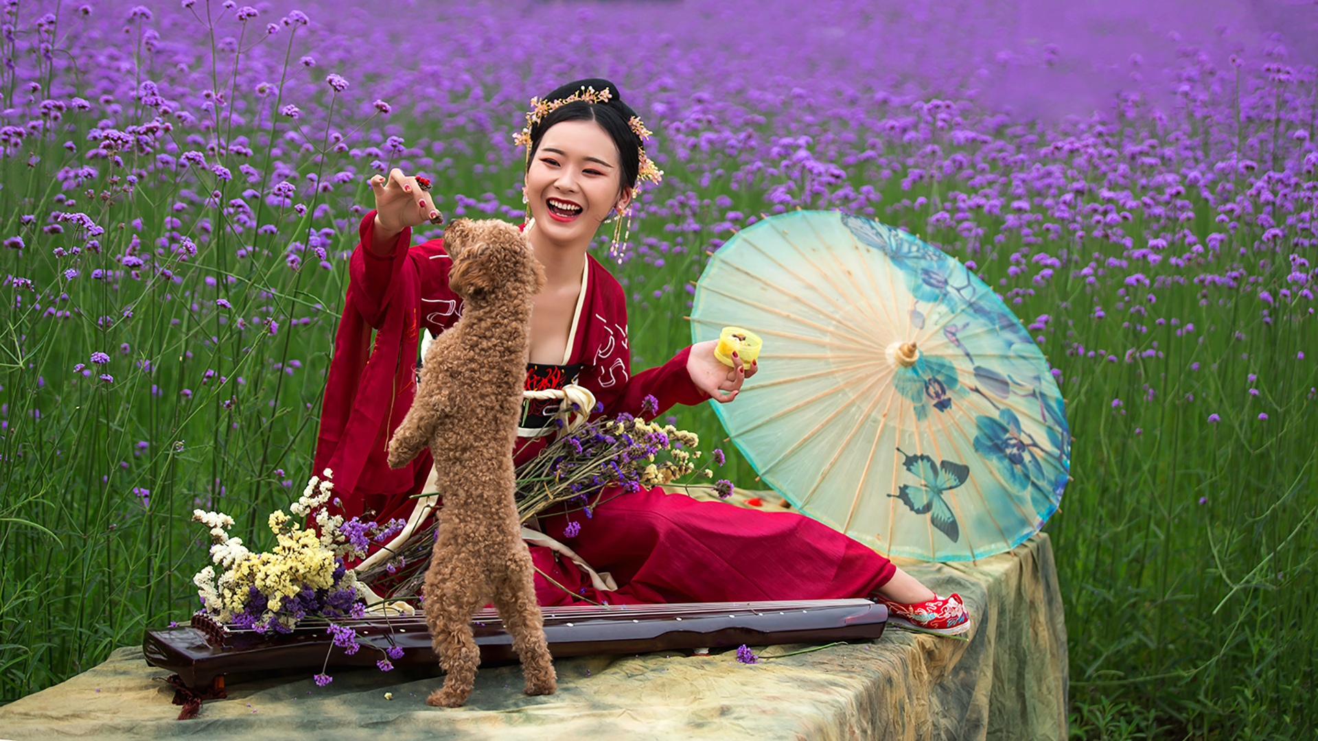 古装美女与泰迪的日常互动写真