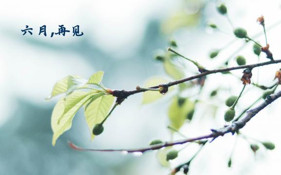 再见六月