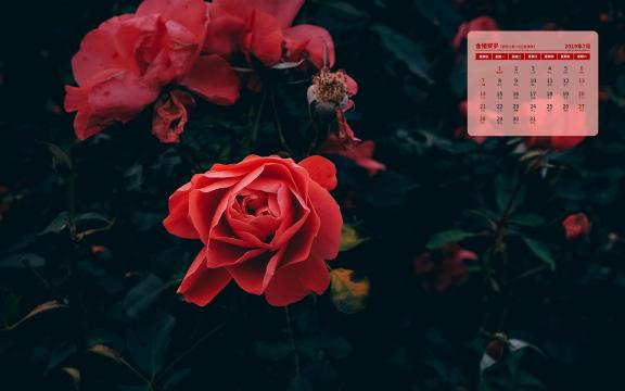 2019年怡人的花朵日历