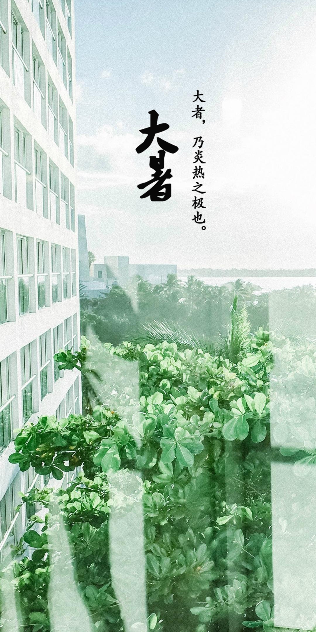 大暑:窗外的风景