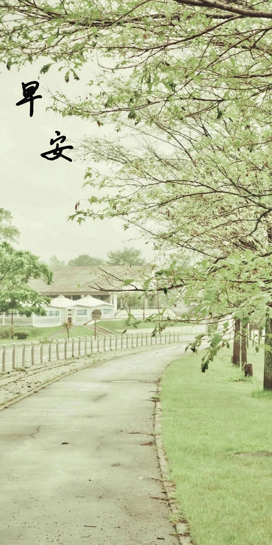 早安:清晨的小路