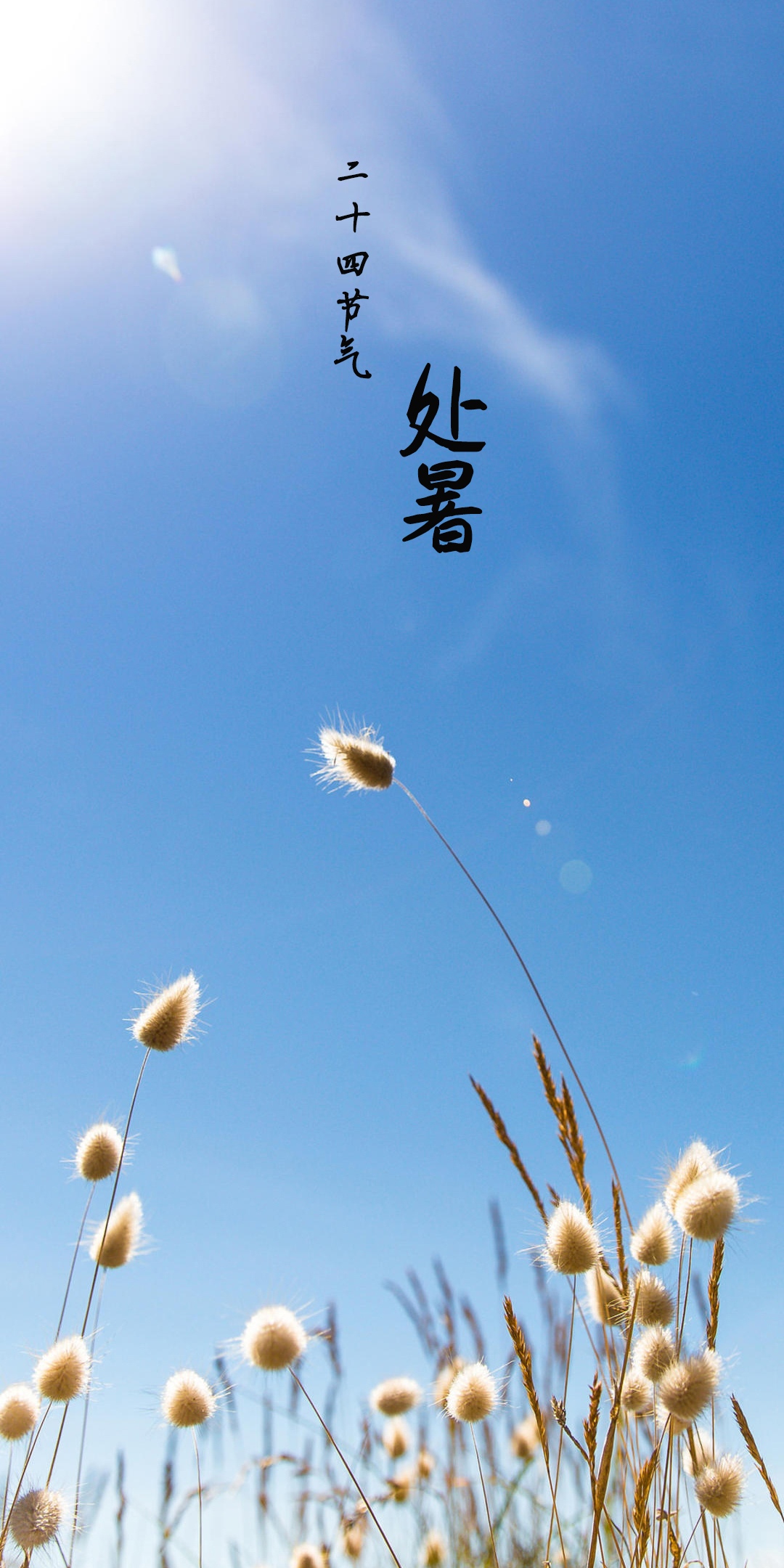 中国传统节气处暑