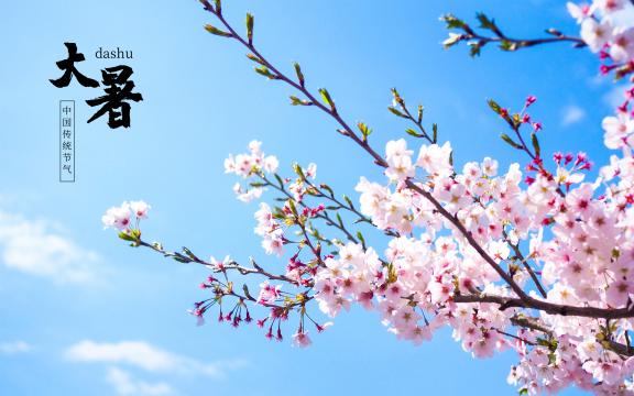 中国传统节气之大暑
