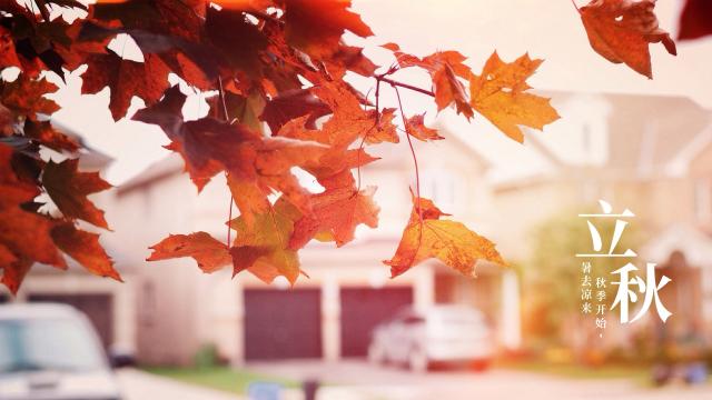 中国传统节气:立秋