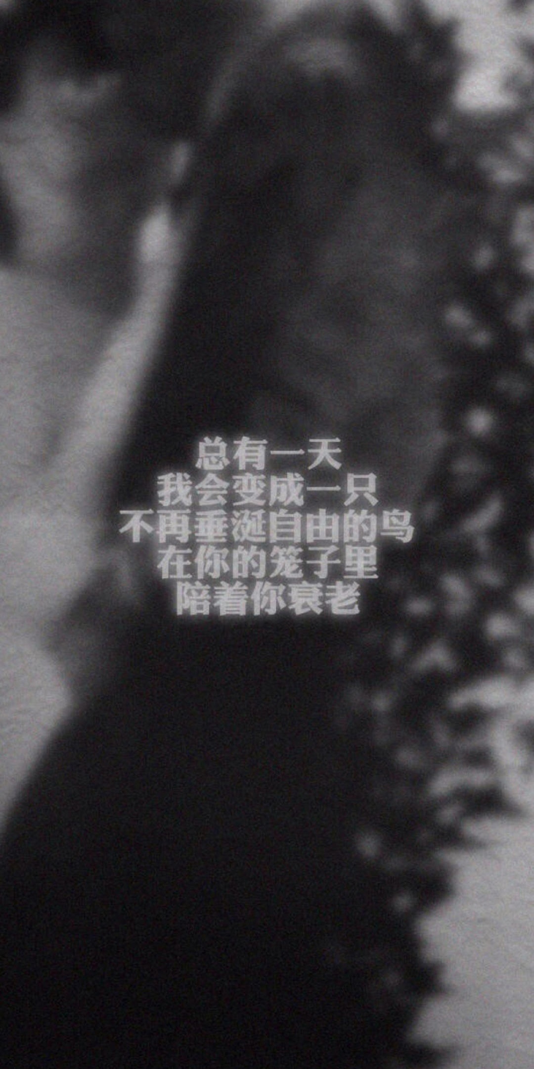 总有一天,我会变成一只笼中鸟