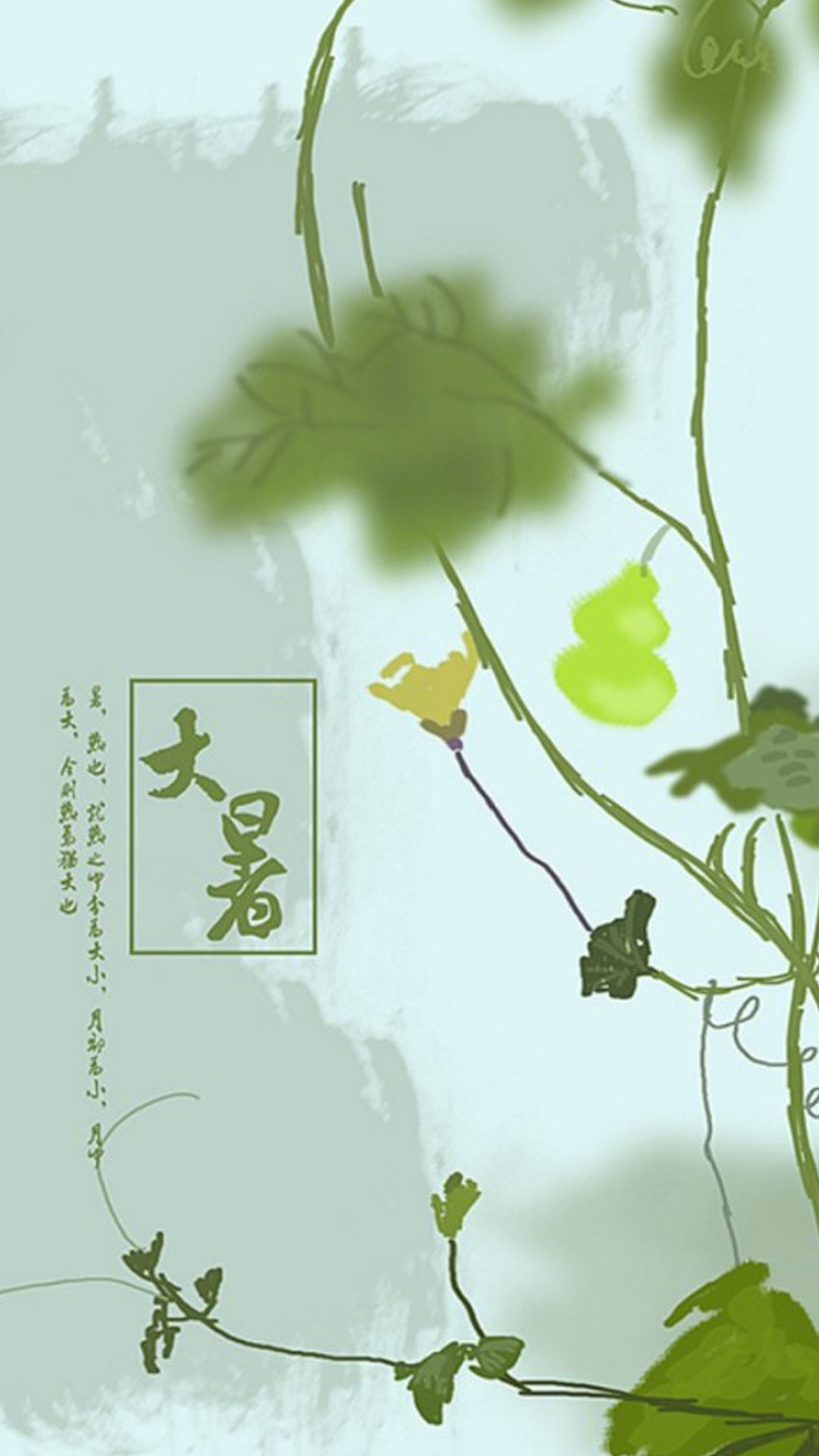 大暑:翠绿的葫芦插画