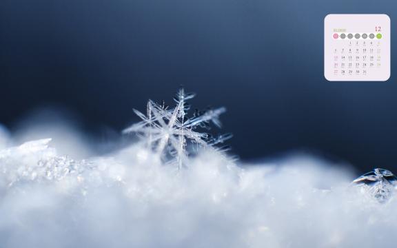 2020年12月冬日里的雪花日历