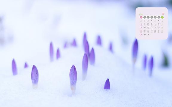 2020年3月春天的觉醒日历
