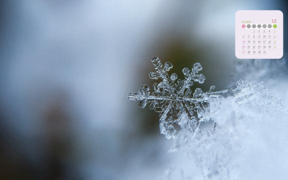2020年12月冬日里的雪花日历