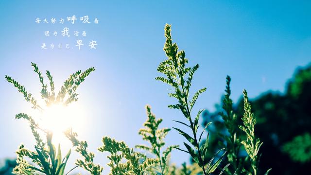 微商励志早安语录图片