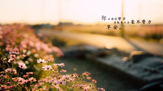 微商励志早安语录图片
