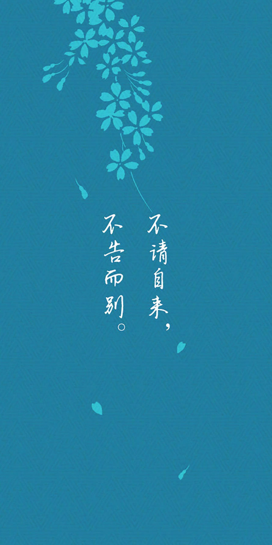 不告而别,不请自来