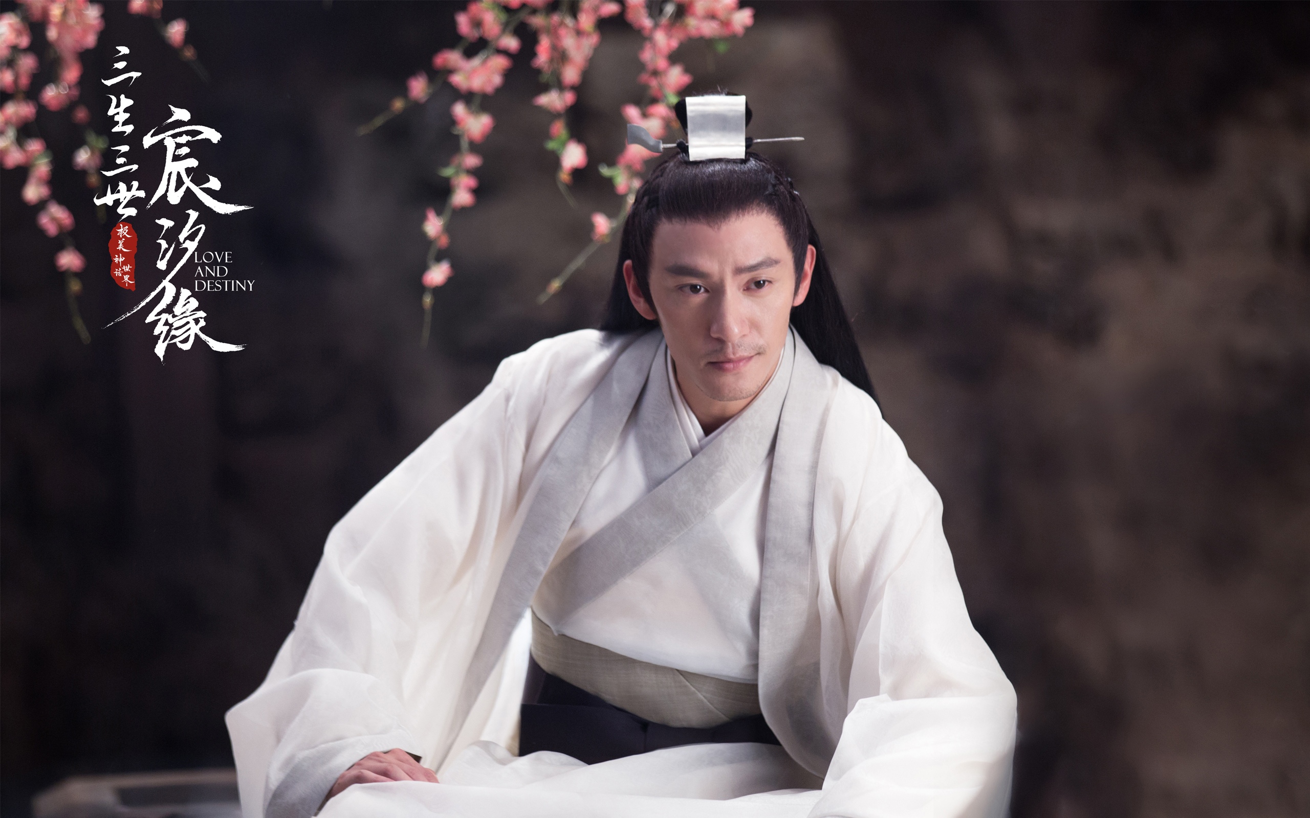 宸汐缘 (2019)