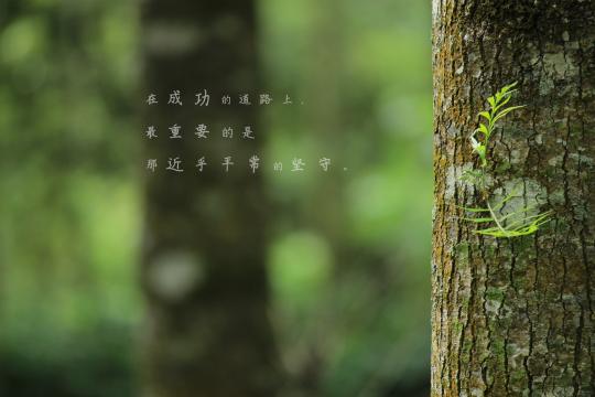 八月你好正能量说说图片