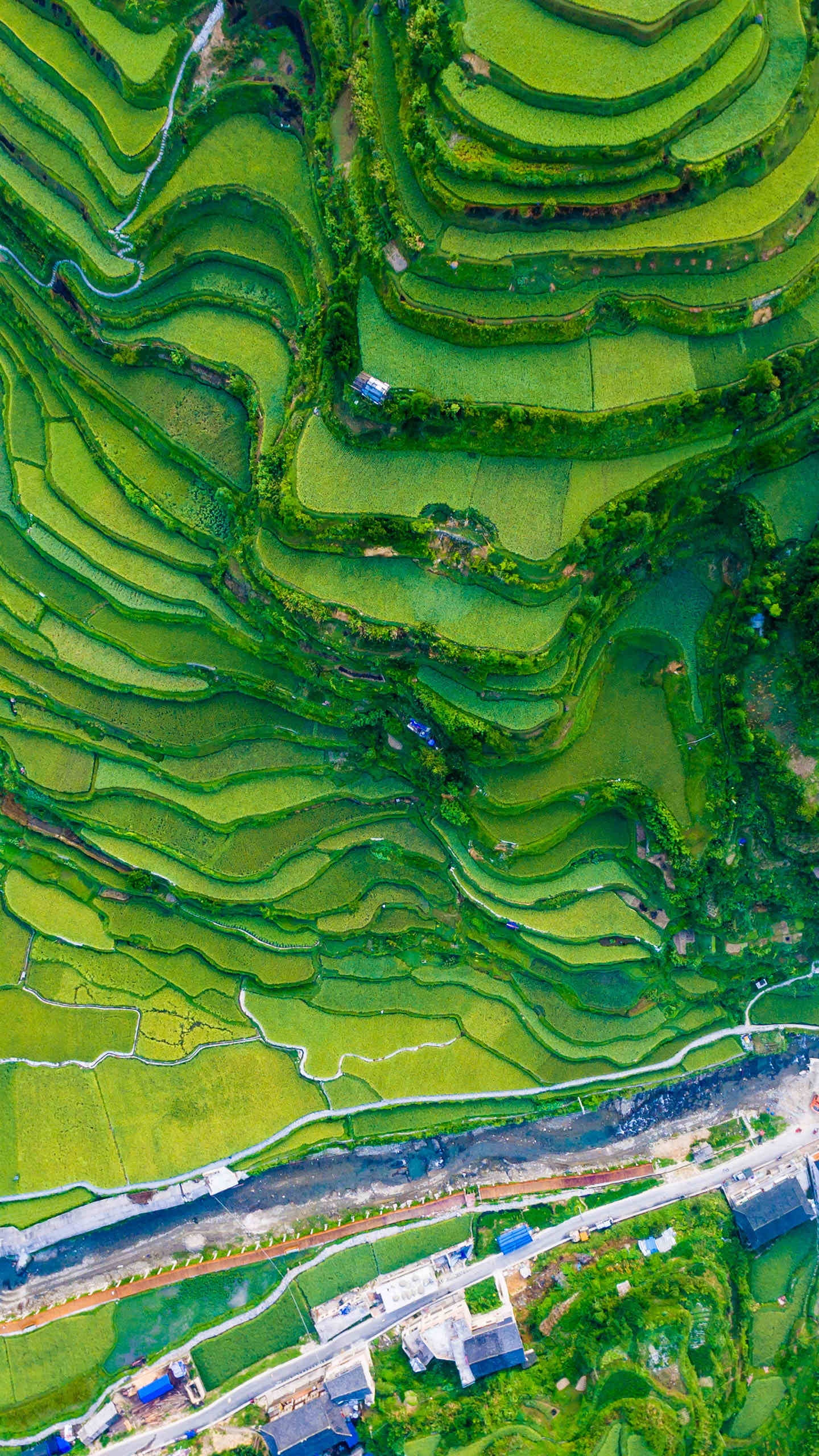 旖旎贵州——梯田风光