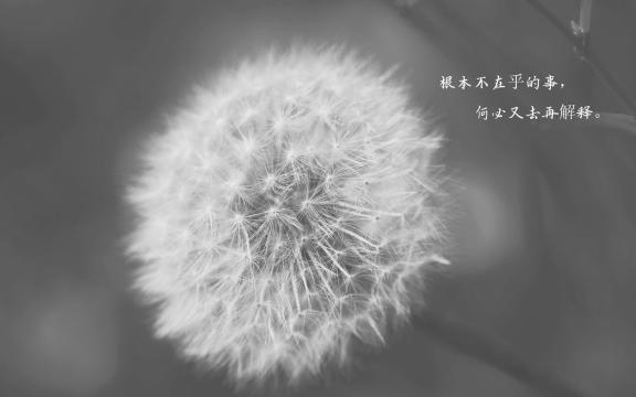 一个人的伤感说说配图