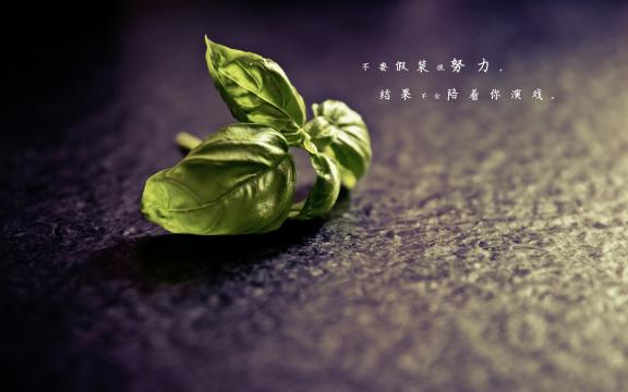 八月最后一天心情说说图片