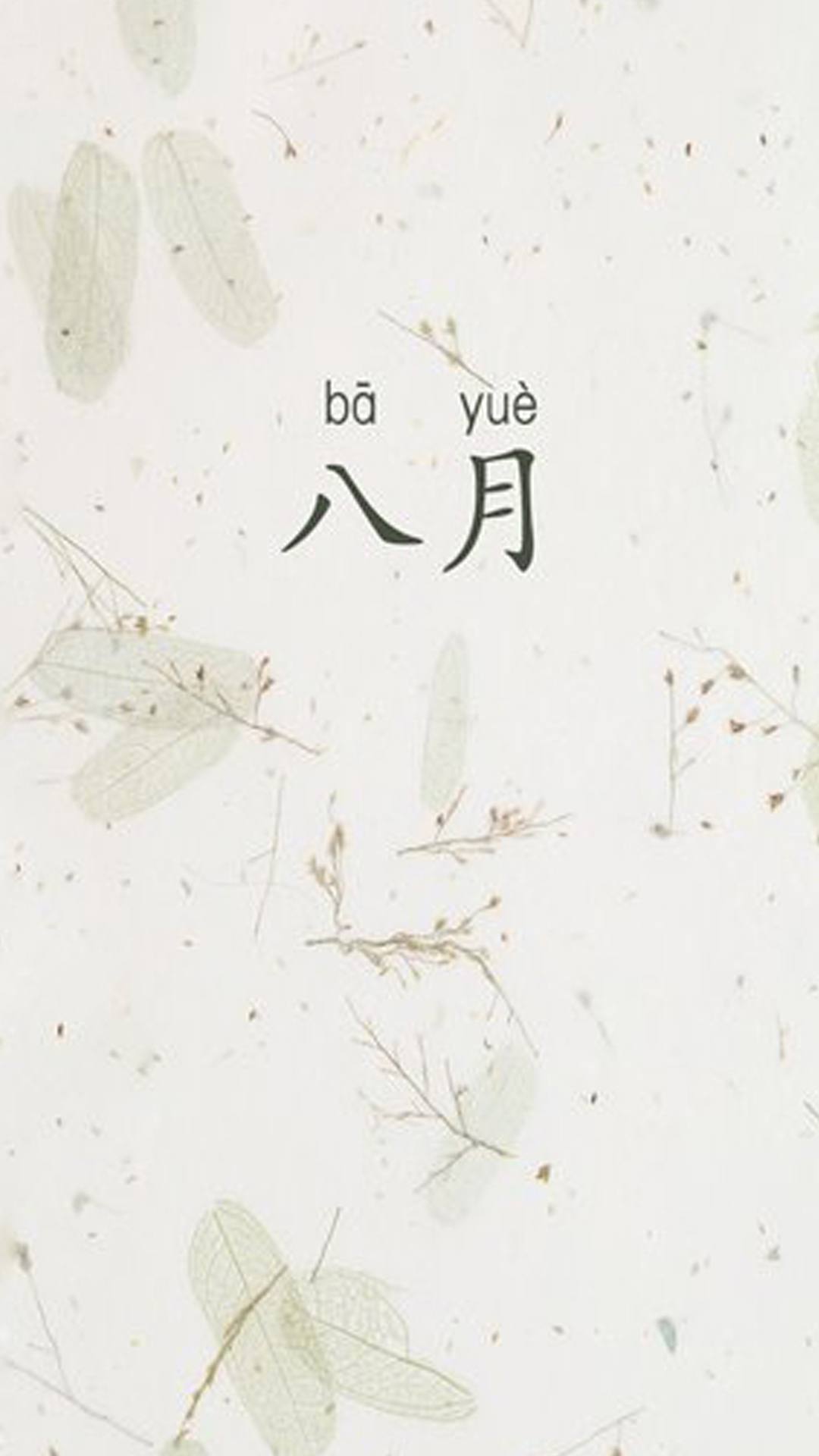 八月的淡雅