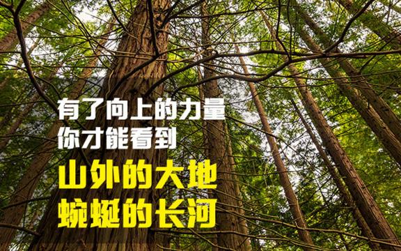 努力向上励志正能量说说