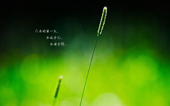 最幸运的八月