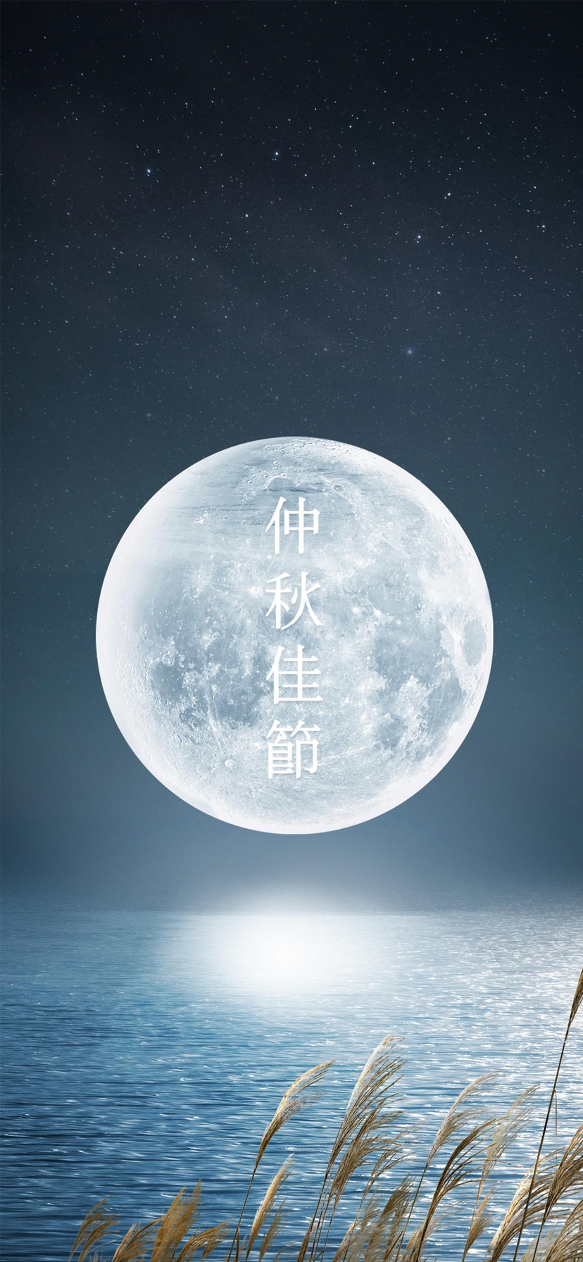 中秋:海上升明月