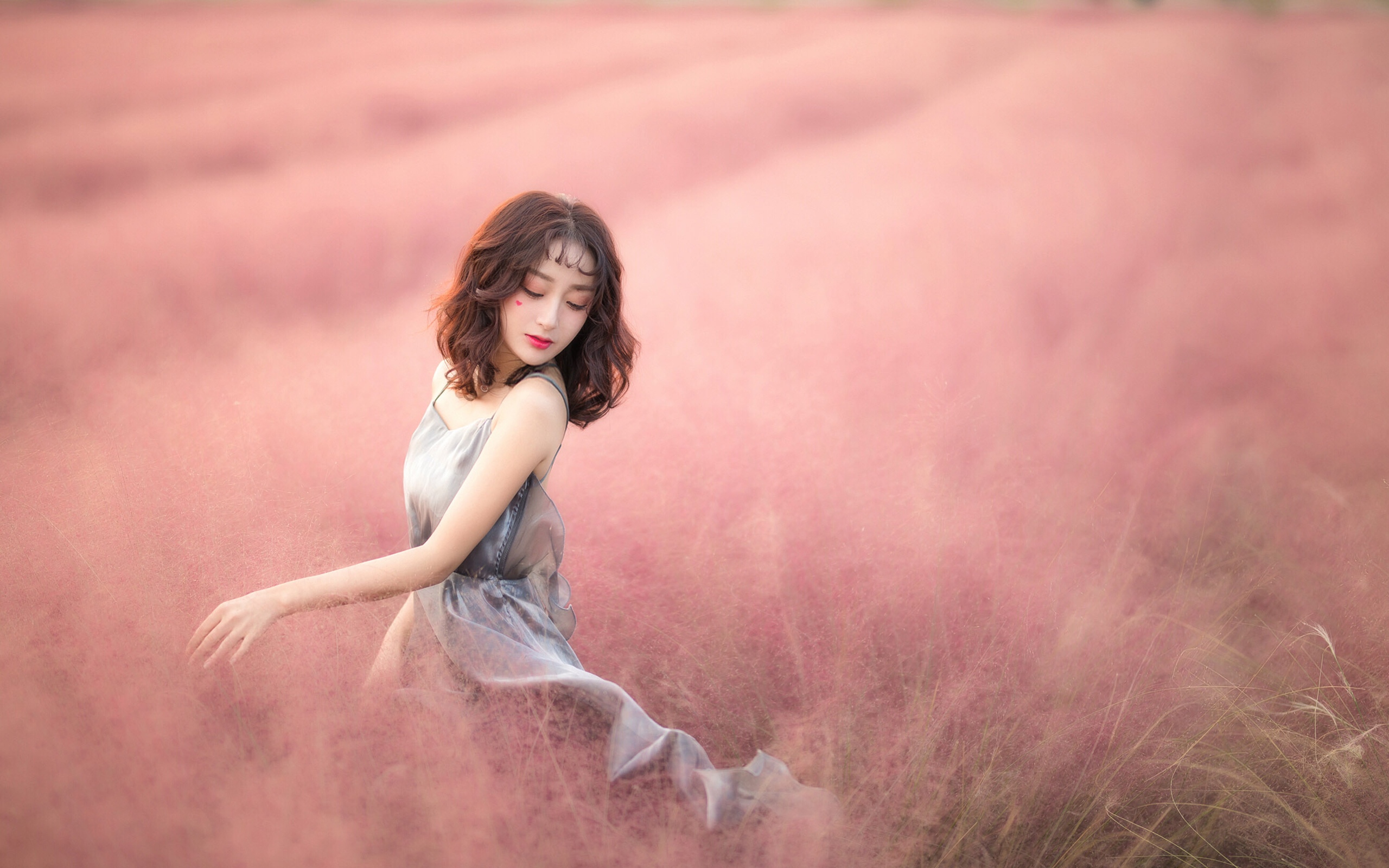 唯美花田里的清纯美女写真
