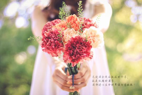 感恩教师的话
