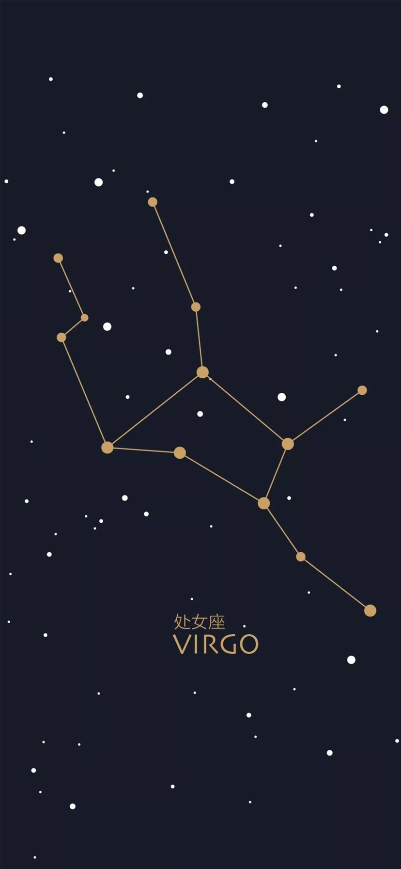 处女座星像图