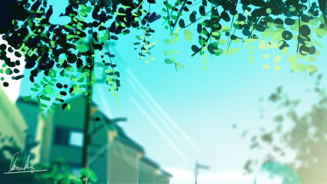 时光留夏