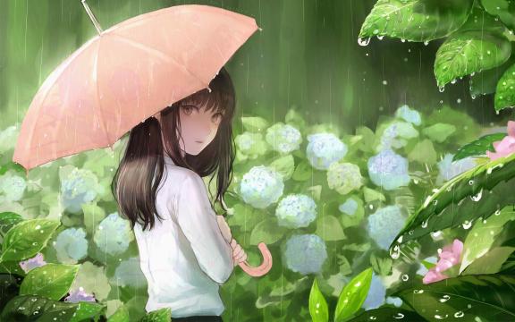 雨的故事,伞知道