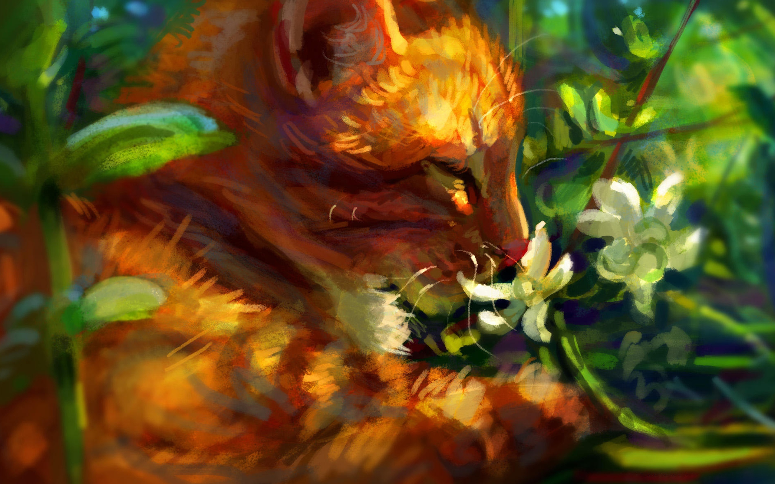 清新治愈的猫咪插画